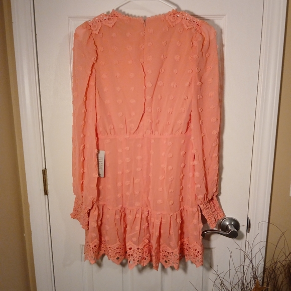 LoveXbyDesign Rina Dotted Chiffon Lace Trimmed Dress - Picture 2 of 7